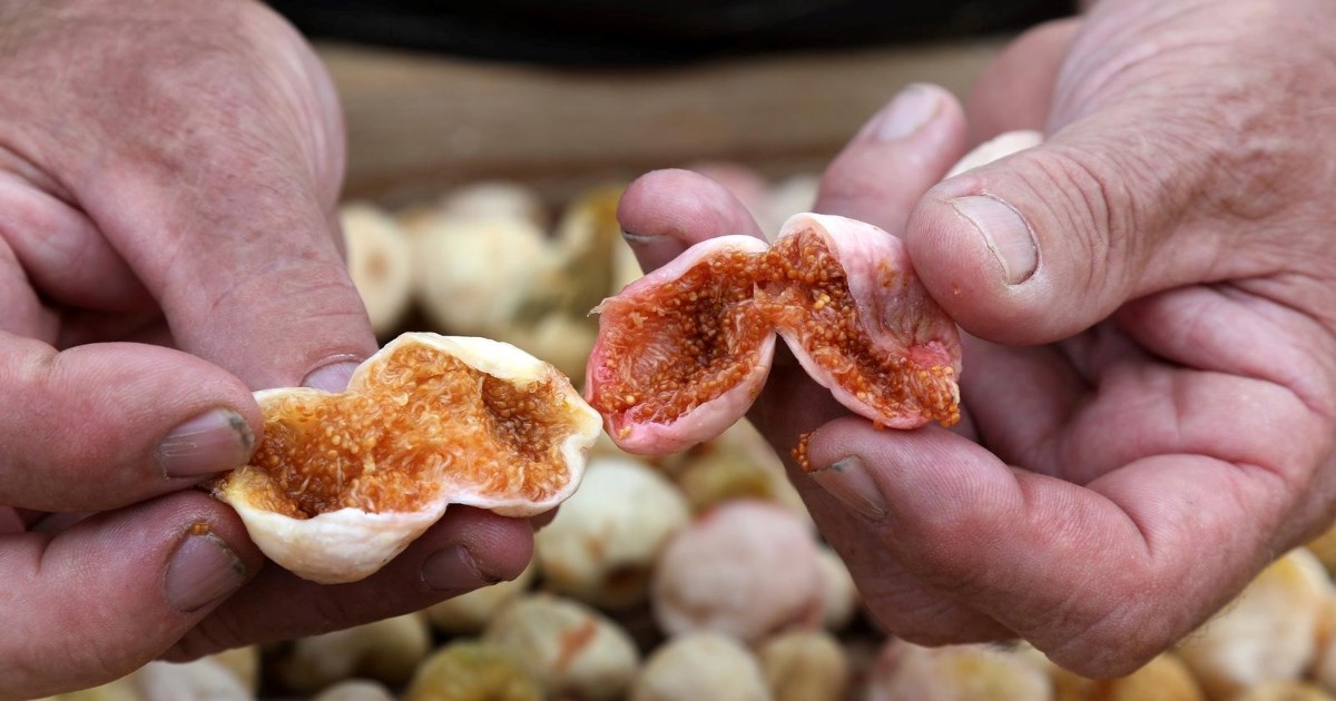 Smokve pomažu kod probave, menstrualnih bolova i upala, ali nisu za svakoga