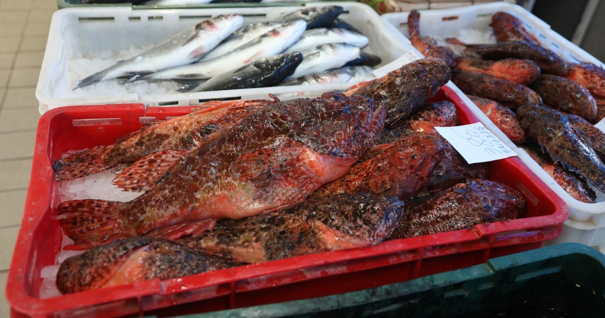 Nije losos: Ova riba proglašena je superhranom