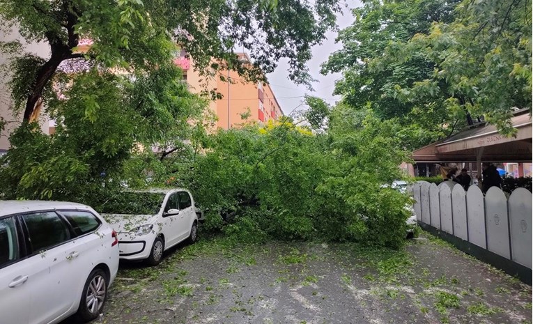 FOTO U centru Zagreba stablo palo na auto