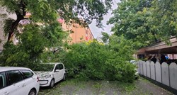 FOTO U centru Zagreba stablo palo na auto