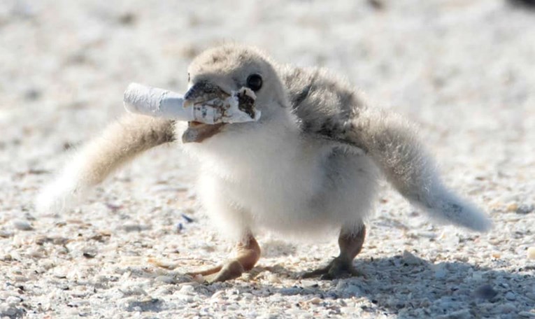 Objavljujemo potresne fotografije koje su postale svjetski simbol zagađenja