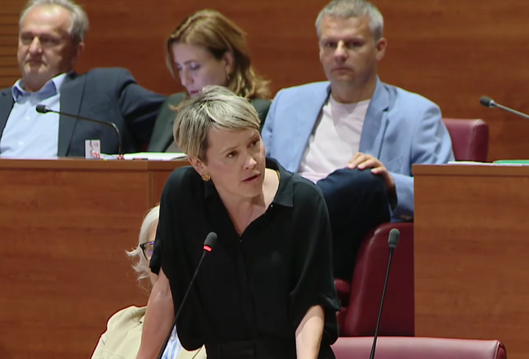 HDZ-ovci napadali Kekin. Selak Raspudić stala na njezinu stranu