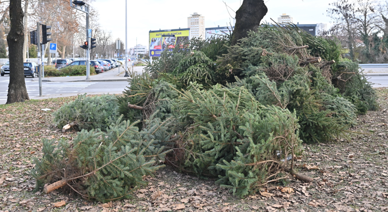 Tužan prizor u Zagrebu: Neprodana božićna drvca završila odbačena na hrpi