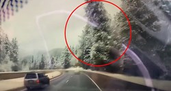 VIDEO Snimio trenutak pada ogromnog stabla na autocestu