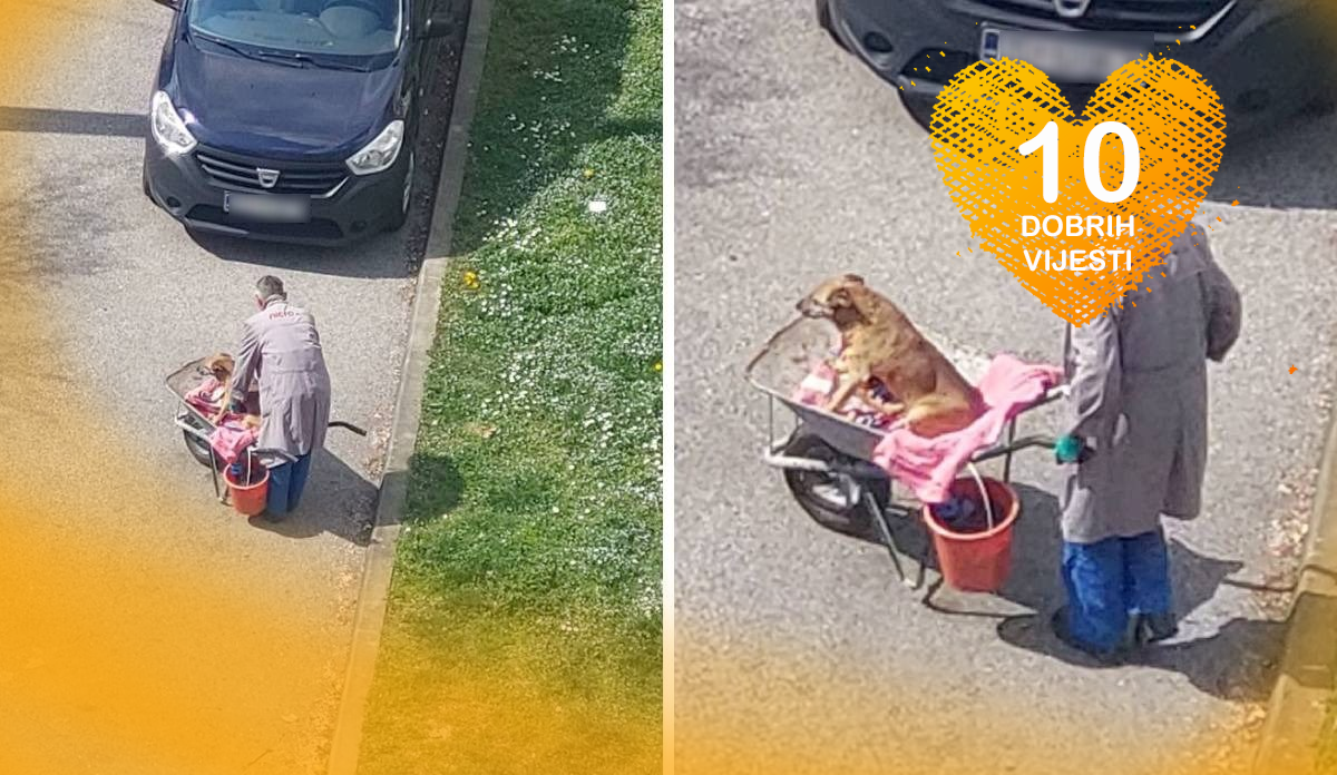 10 dobrih vijesti tjedna