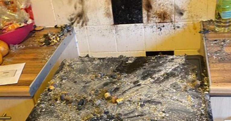 Gladni pas u potrazi za hranom skočio na štednjak i slučajno izazvao požar