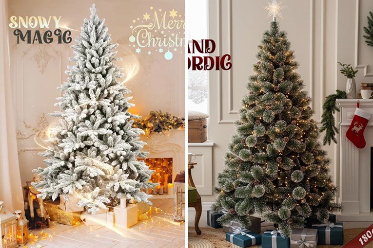 FOTO Ovo su hit borovi za Božić