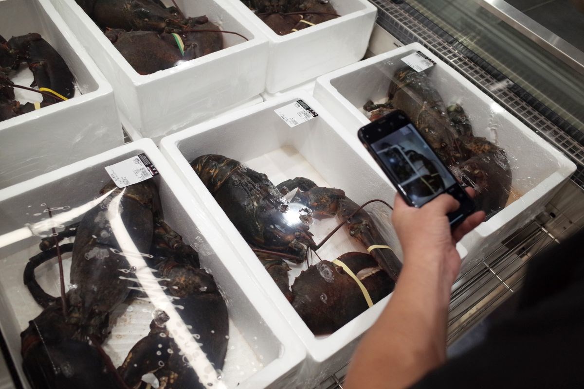 U SAD-u ukradena pošiljka jastoga vrijedna 400.000 dolara