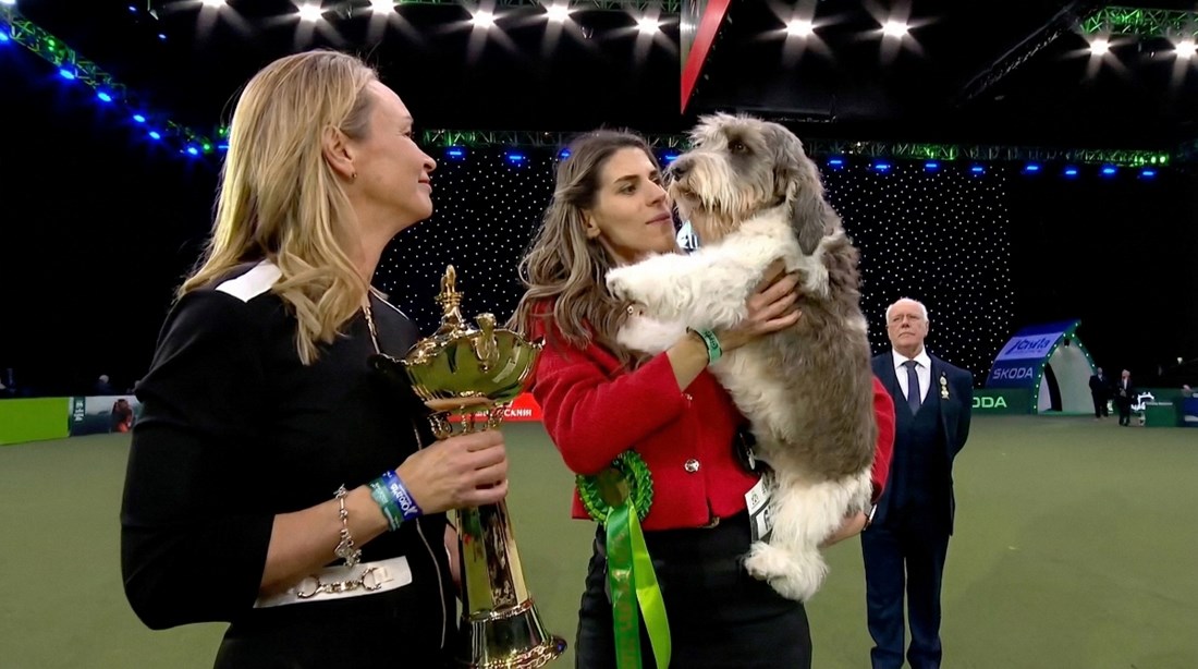 Meghan iz RH je najbolja u svojoj pasmini na najstarijoj izložbi pasa na svijetu