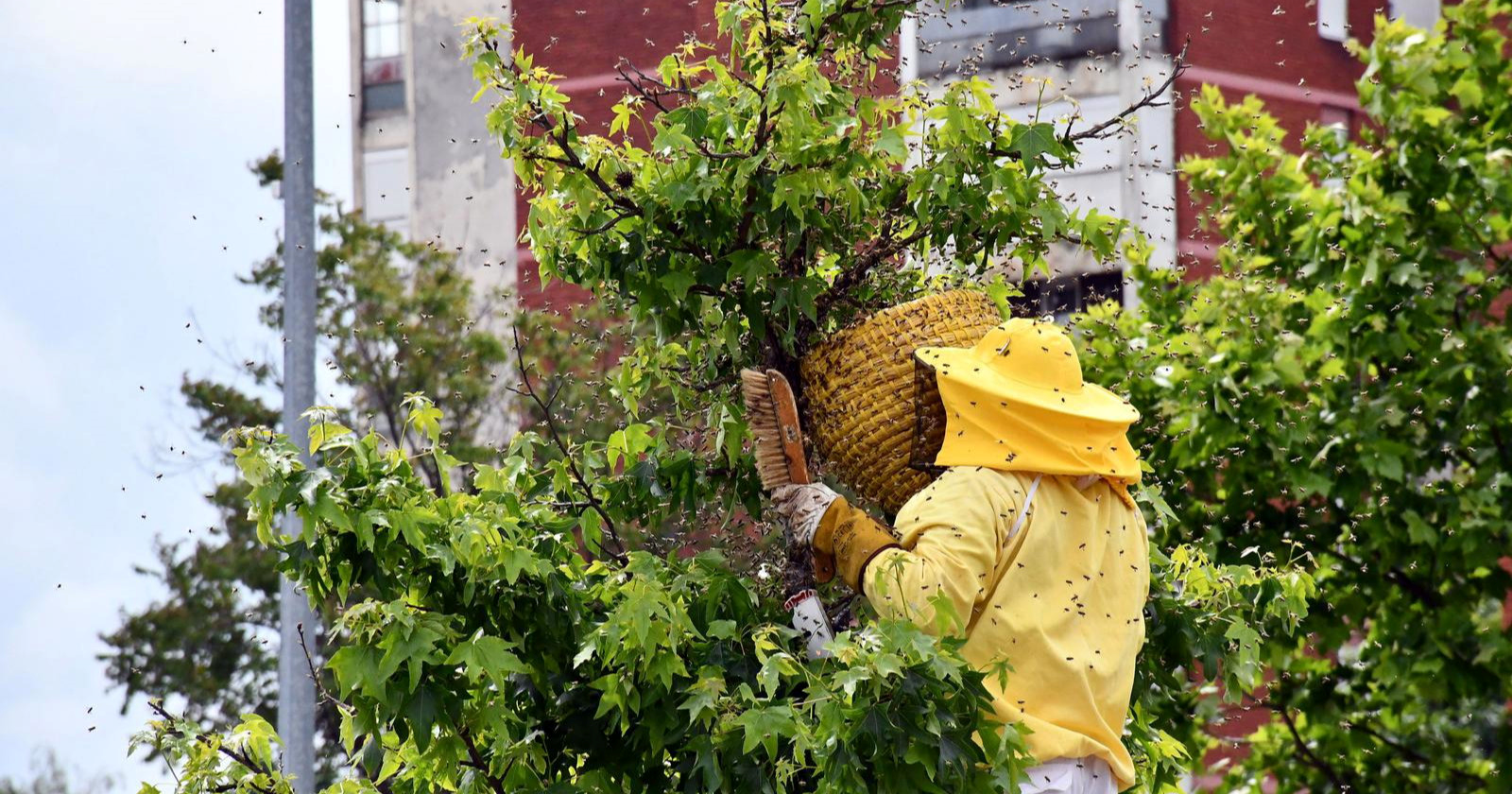 DP-ov ministar na Danima meda u Vukovaru: Nastavit ćemo podupirati pčelare
