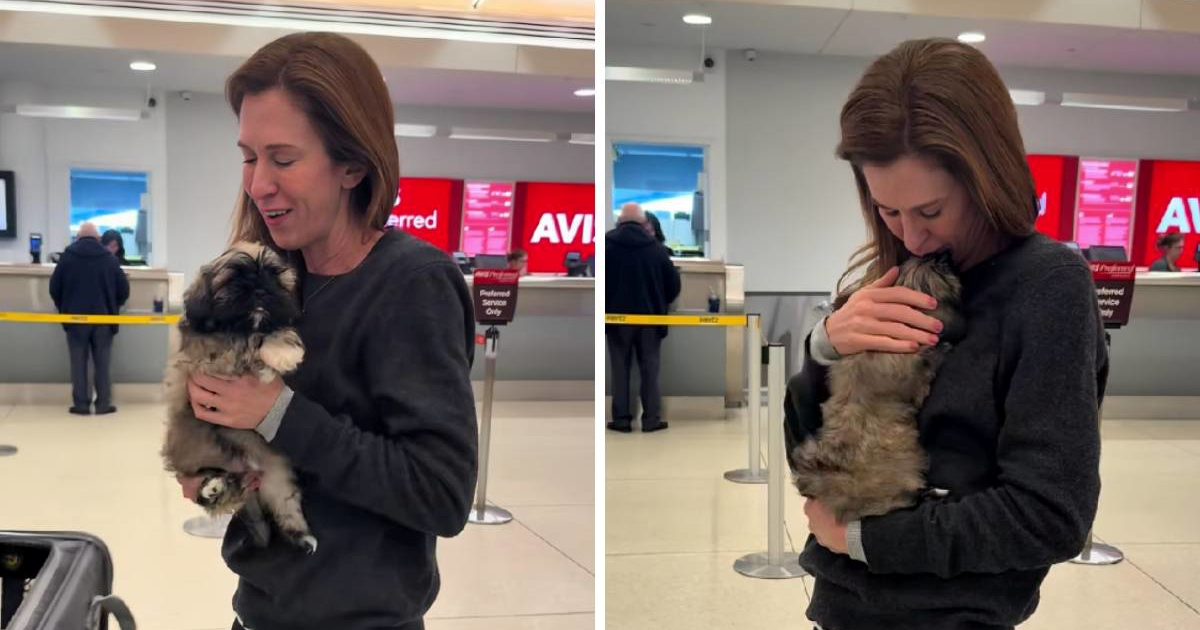 Žena platila kloniranje psa više od 40 tisuća eura: "Mislim da ne bih to ponovila"