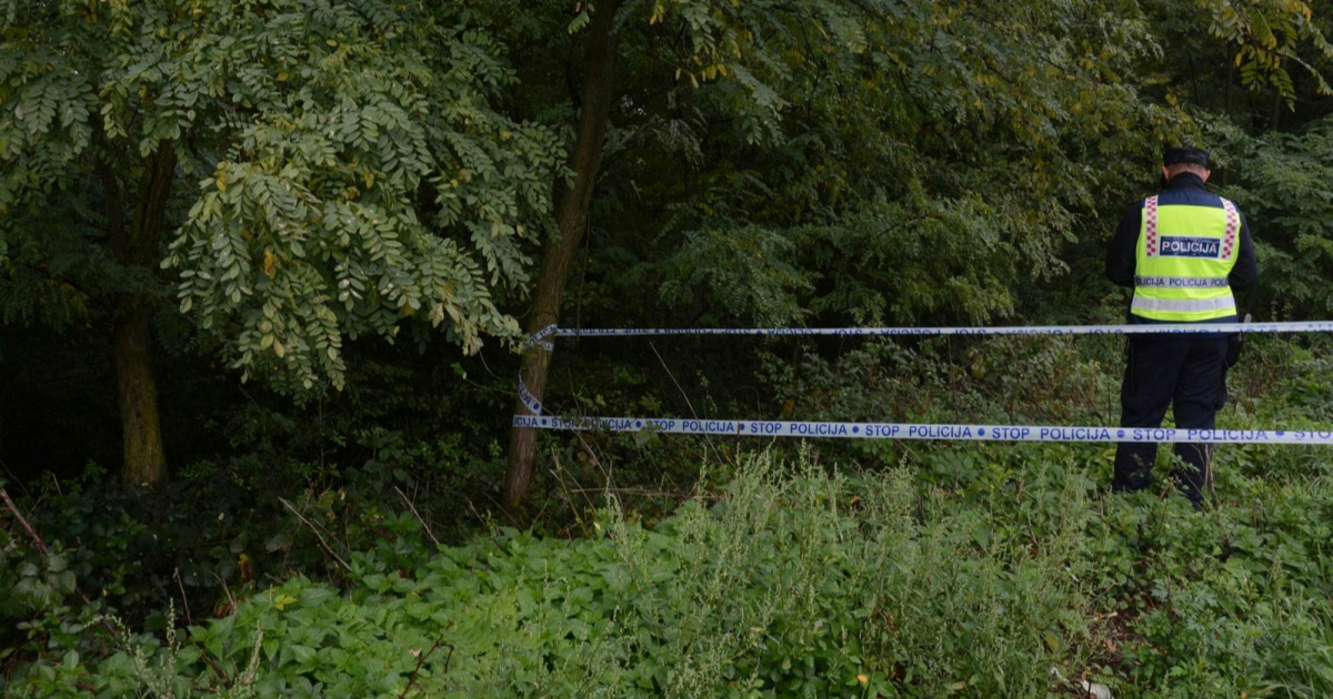 Lovci u šumi u Istri pronašli kosti, sumnja se da su ljudske