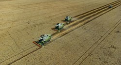 Rumunjsko ministarstvo: Proizveli smo za petinu manje pšenice nego lani