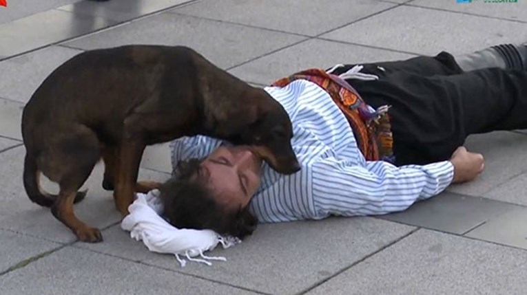 Glumac igrao ulogu u kojoj je ozlijeđen, pas lutalica mu odmah priskočio u pomoć