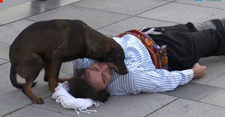 Glumac igrao ulogu u kojoj je ozlijeđen, pas lutalica mu odmah priskočio u pomoć