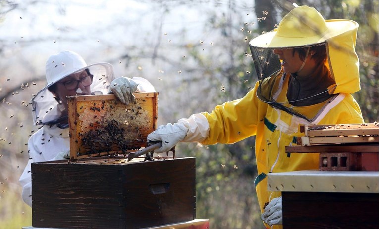 Pčelari razgovarali s ministricom poljoprivrede, govorili o upotrebi pesticida
