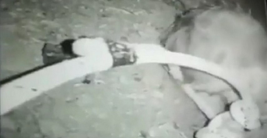 Dječak u Maroku pao u bunar, danima paralelno kopaju rupu kako bi ga spasili