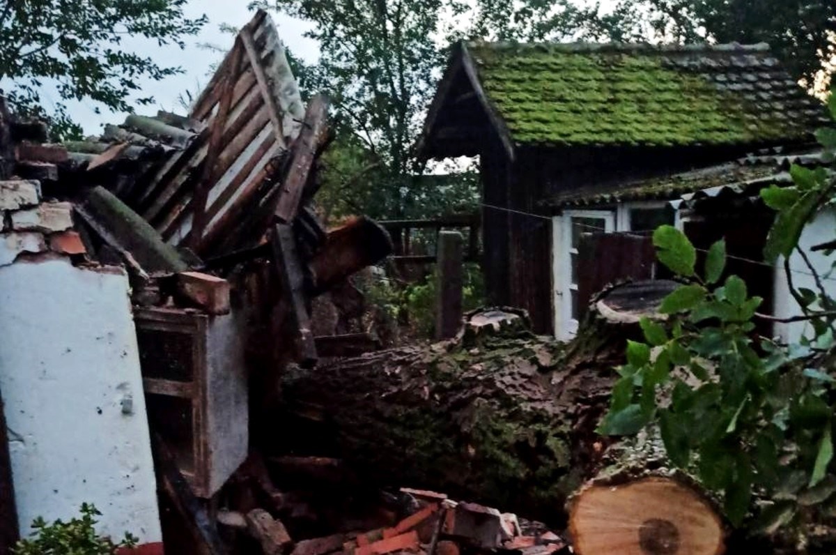 U Čepinu nevrijeme čupalo stabla iz zemlje i rušilo krovove. Ljudi ostali bez struje