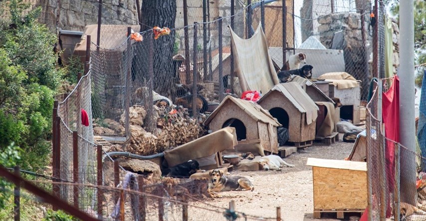 Kod azila iznad Dubrovnika nađeni leševi pasa. Tijekom noći su nestali