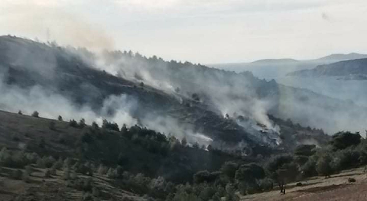 VIDEO Požar kod Šibenika stavljen pod kontrolu, na terenu je još 60 vatrogasaca