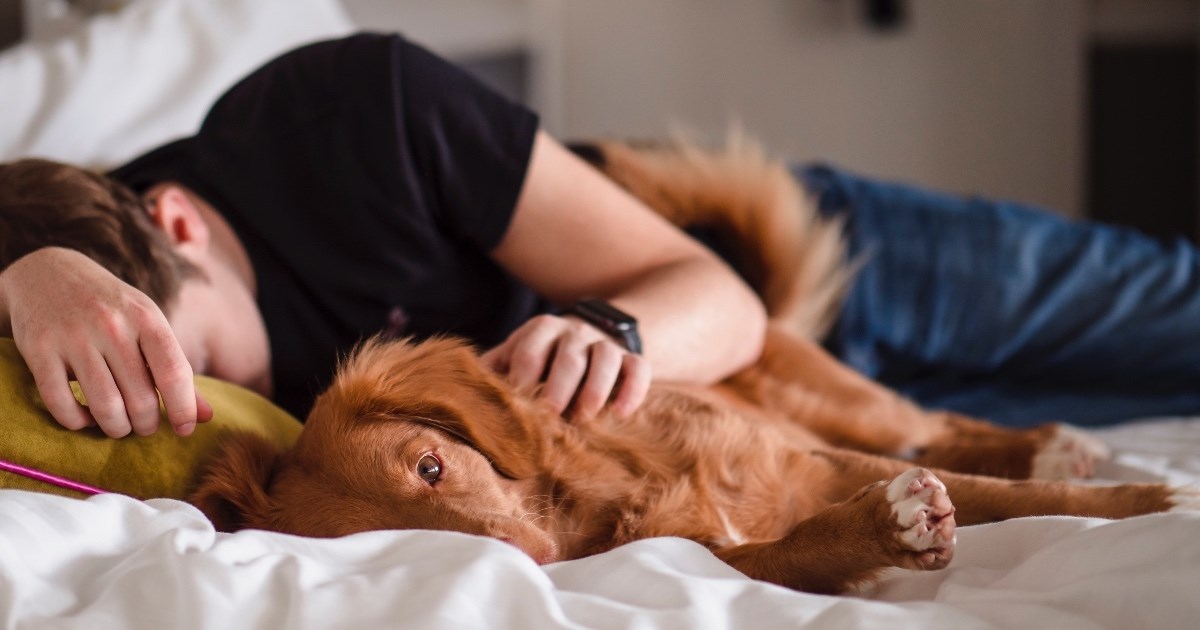 Nova studija pokazuje da kućni ljubimci mogu pomoći djeci da bolje spavaju