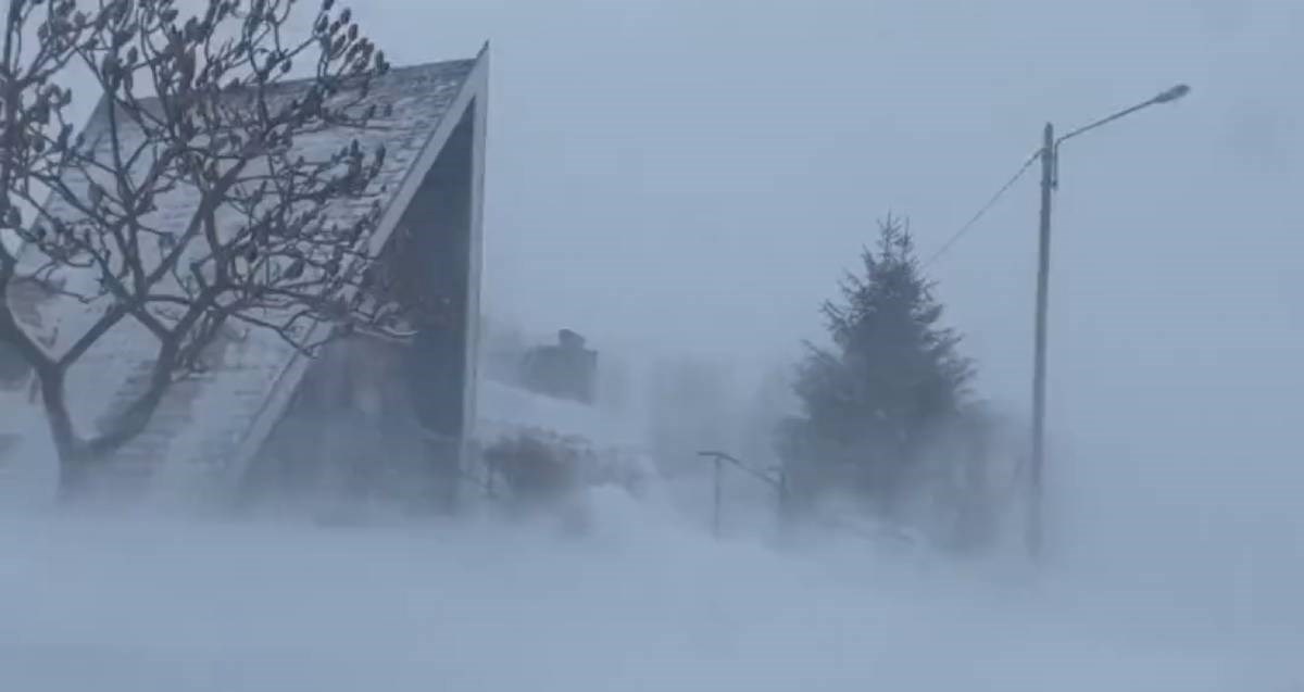 VIDEO Silovita oluja u Francuskoj rušila stabla. Nestalo struje, poremećen promet...