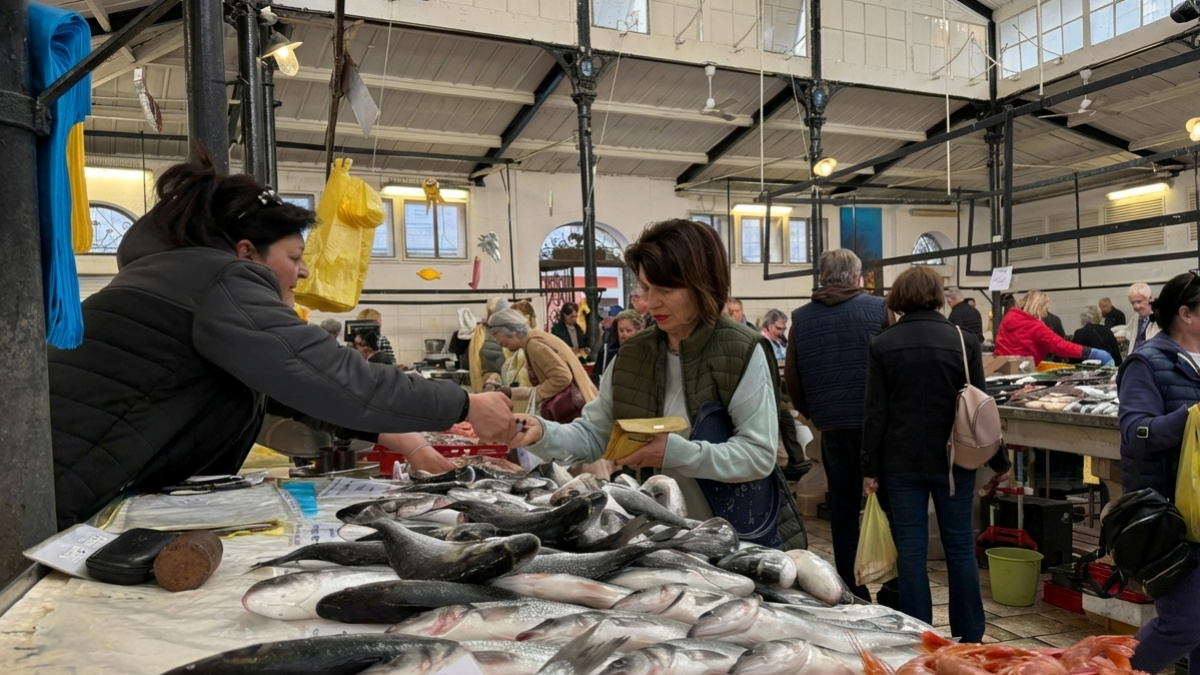 Zbog velikog rasta cijene plavog dizela skuplja je riba. Srdela 5, škampi do 50 eura