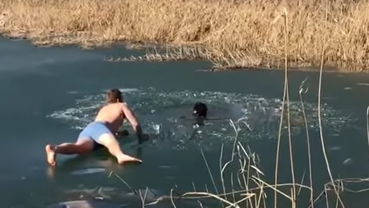 Pogledajte kako mladić spašava psa iz zaleđenog jezera