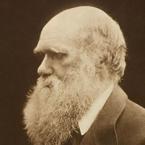 Charles Darwin: Otac evolucije i njegovo revolucionarno putovanje