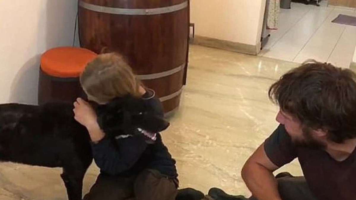 Dirljivi susret vlasnika i ukradenog psa uljepšat će vaš dan