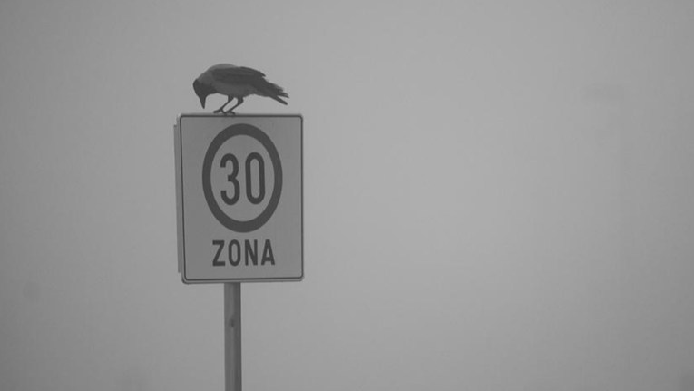 Grad Zagreb će ograničiti brzinu na 30 km/h u centru? "Naručili su studije"