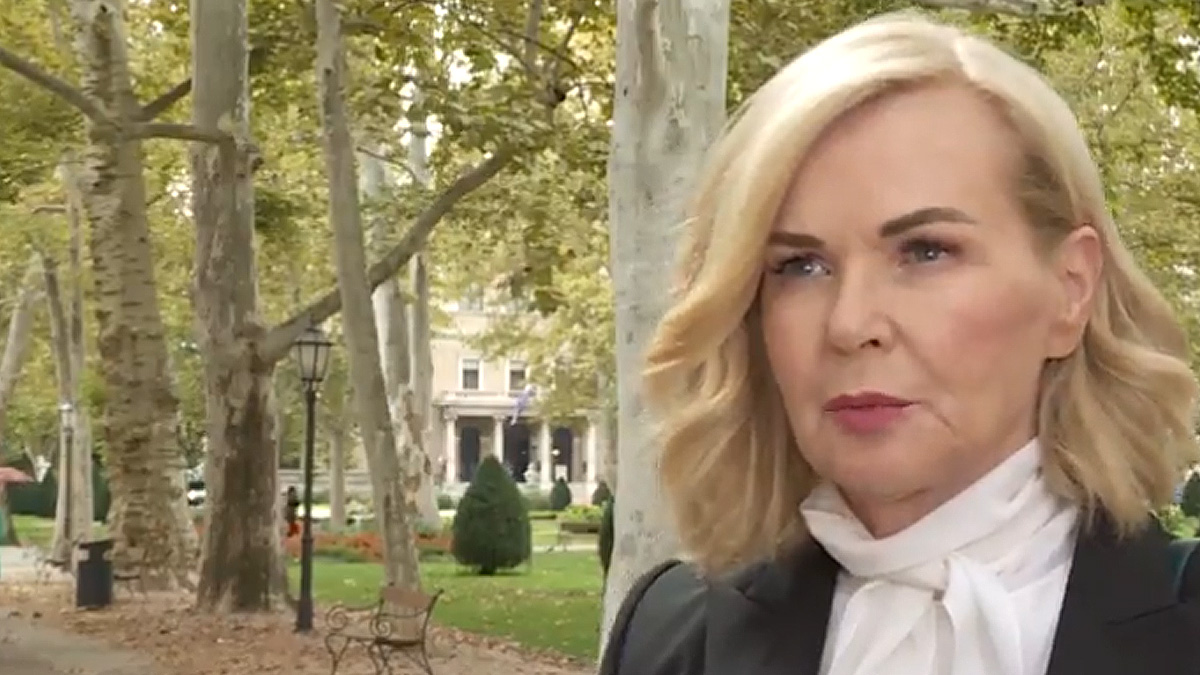 Sloković: Ne vidim razlog za podizanje optužnice protiv Todorića