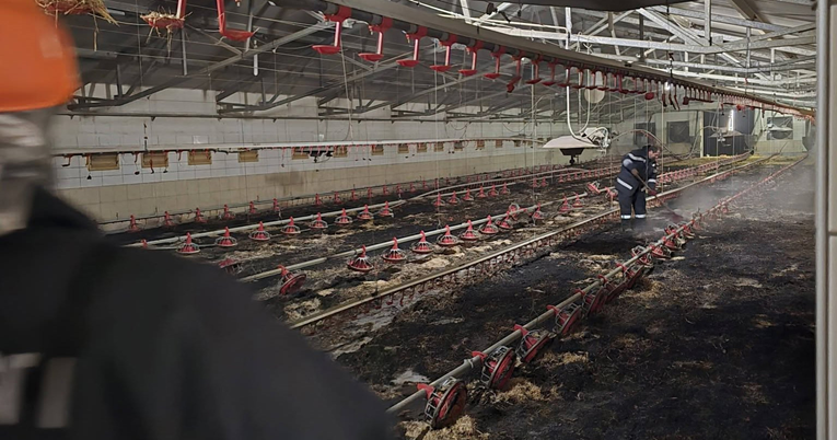 U požaru na sjeveru Hrvatske stradalo više tisuća pilića