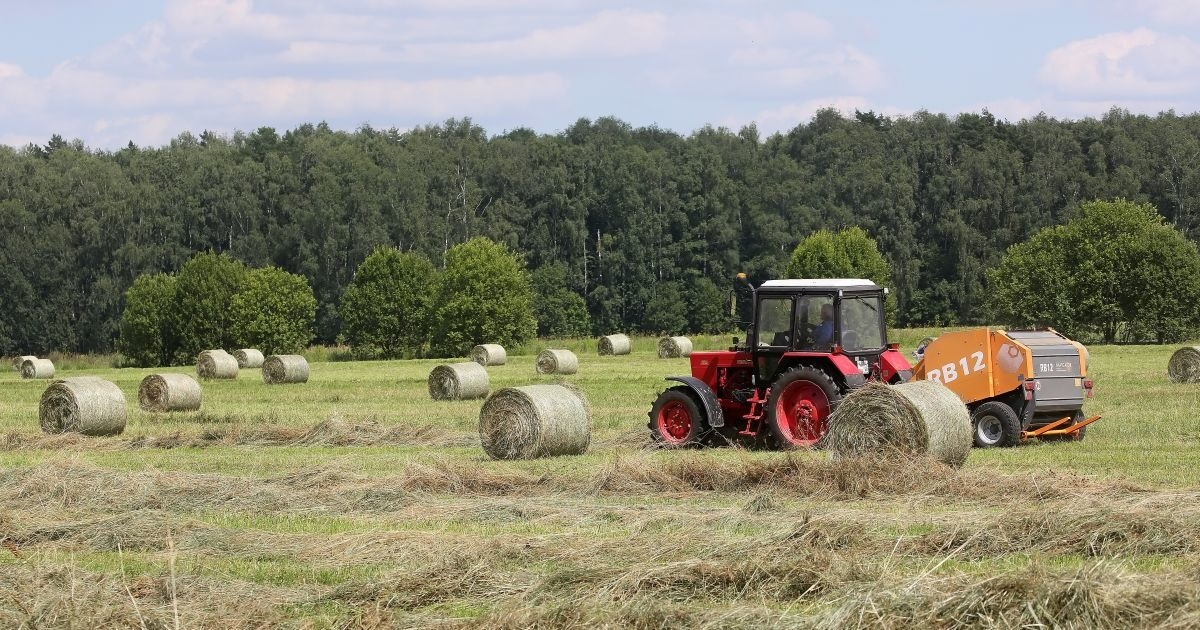 Carine EU-a na ruska umjetna gnojiva štete samo europskim poljoprivrednicima