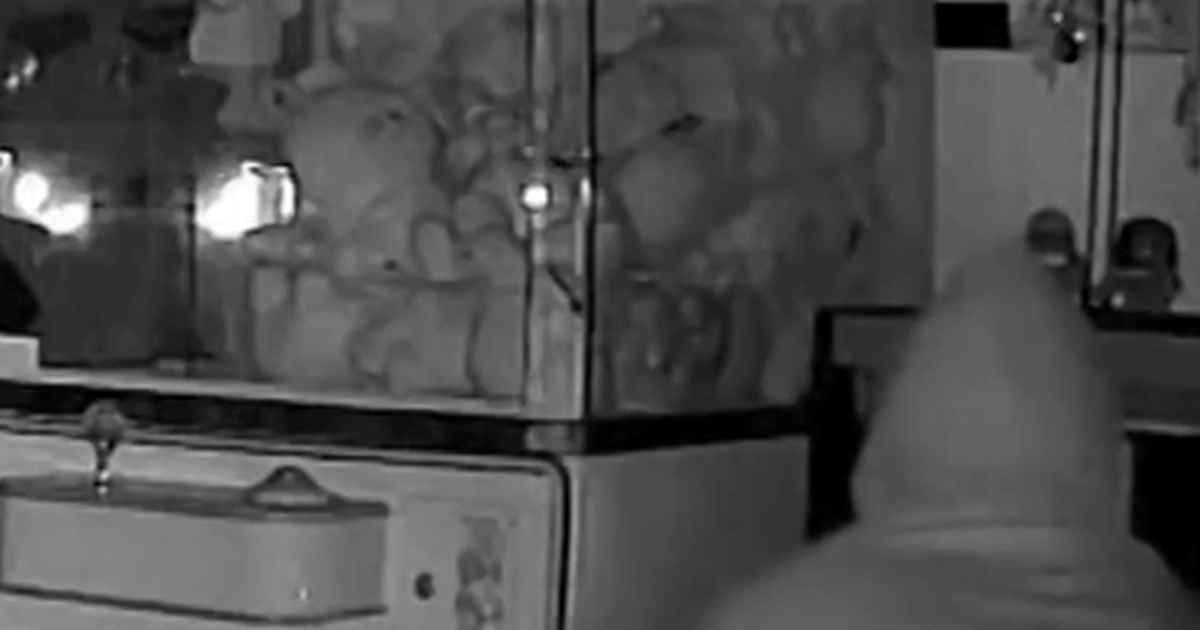 U Los Angelesu ukradene lutke Labubu vrijedne tisuće eura