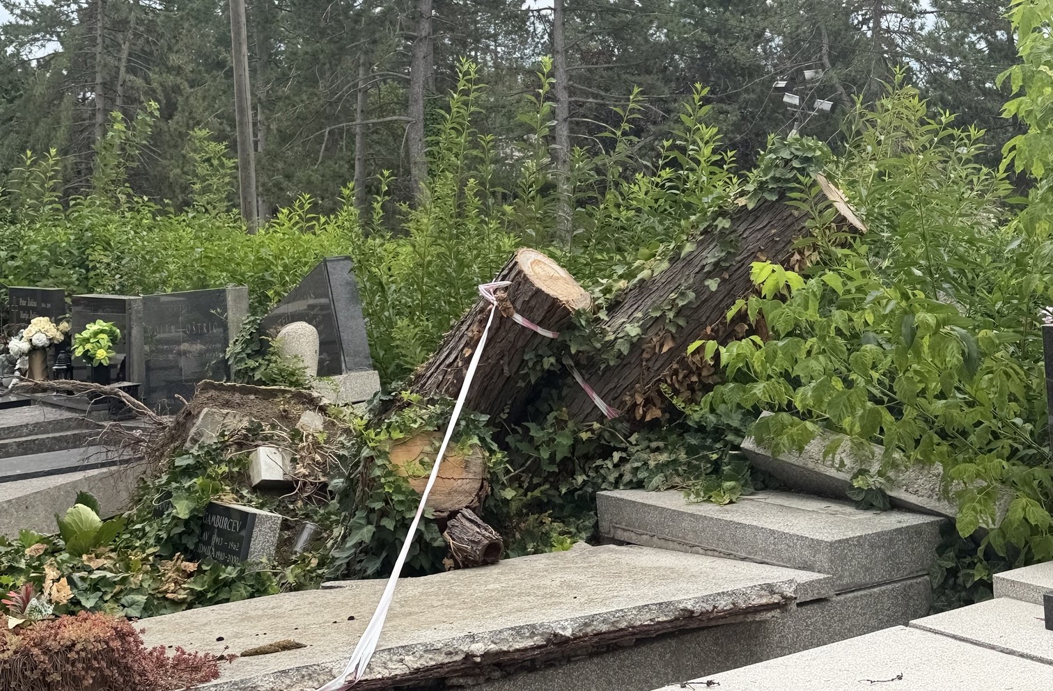 Gradska groblja objasnila zašto sanacija Mirogoja nakon nevremena traje toliko dugo