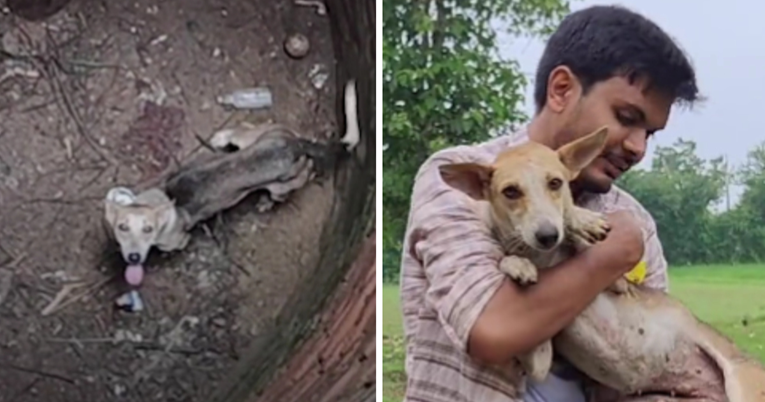 VIDEO Pas bio zaglavljen u dubokoj jami, pogledajte kako su ga dobri ljudi spasili