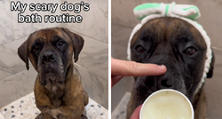 60 milijuna pregleda: Video psa koji uživa u svojoj večernjoj rutini oduševio TikTok