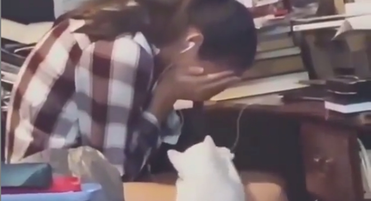 Snimka na kojoj mačka pokušava utješiti uplakanu vlasnicu hit je na internetu