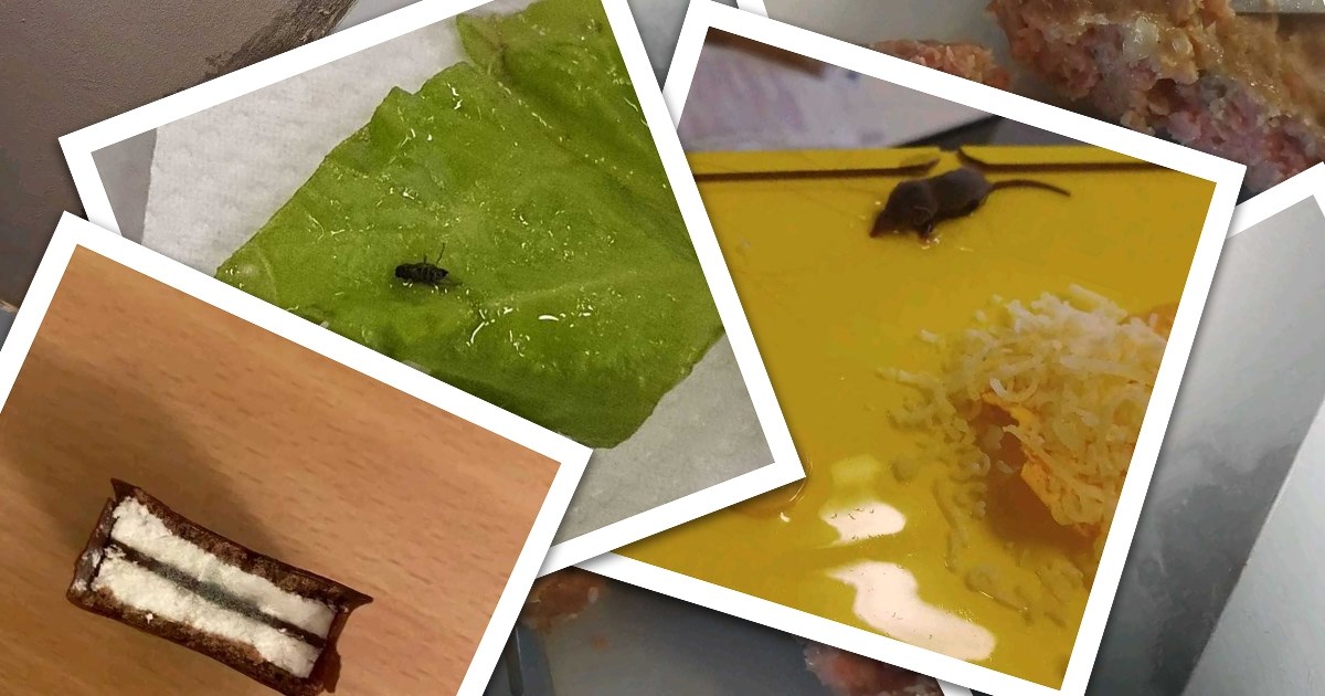 Studenti: Zidovi su vlažni, imamo miševe, a hrana pljesniva. Centar: Nije naša hrana