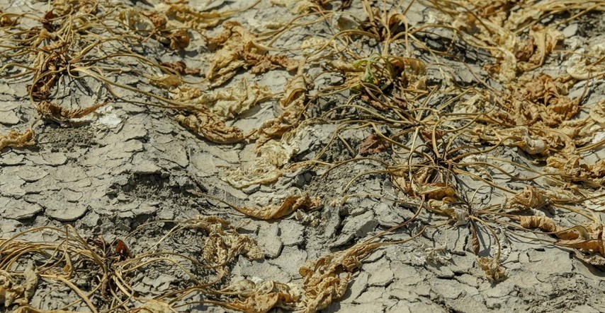 Na području Petrinje proglašena prirodna nepogoda od suše