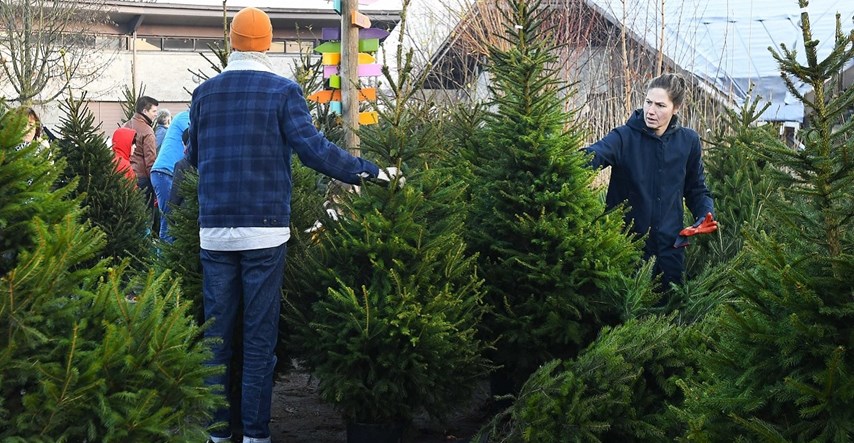 Istraživanje: Pravo božićno drvce može popraviti zdravlje