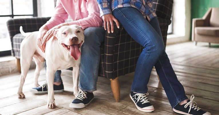 Gluhi pas spasio svoju obitelj od trovanja ugljičnim monoksidom