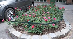 Zagrepčani prkose gradskim vlastima: Sade mini-vrtove, pogledajte fotografije