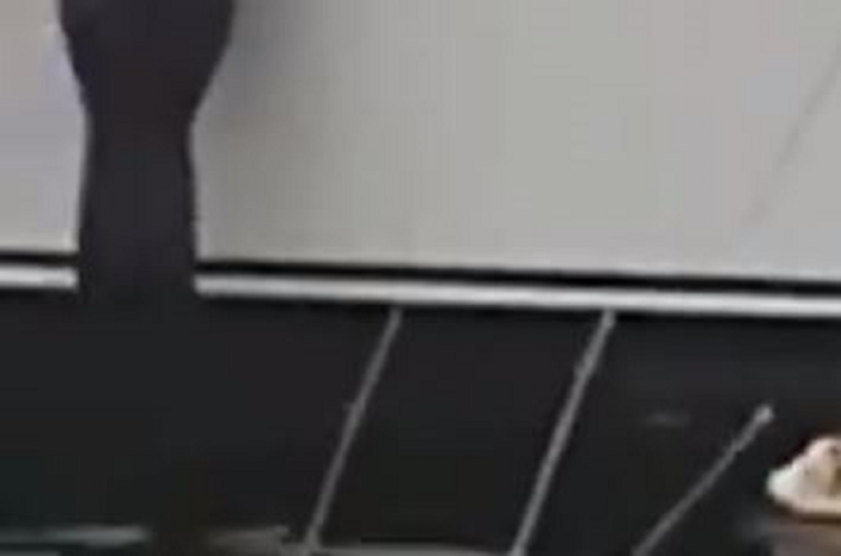 VIDEO Dalmatince iznenadila "neman" u moru: "Gotovo, gasimo internet"