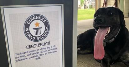 Guinnessova knjiga svjetskih rekorda: Zoey je pas s najdužim jezikom