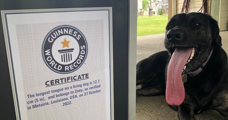 Guinnessova knjiga svjetskih rekorda: Zoey je pas s najdužim jezikom