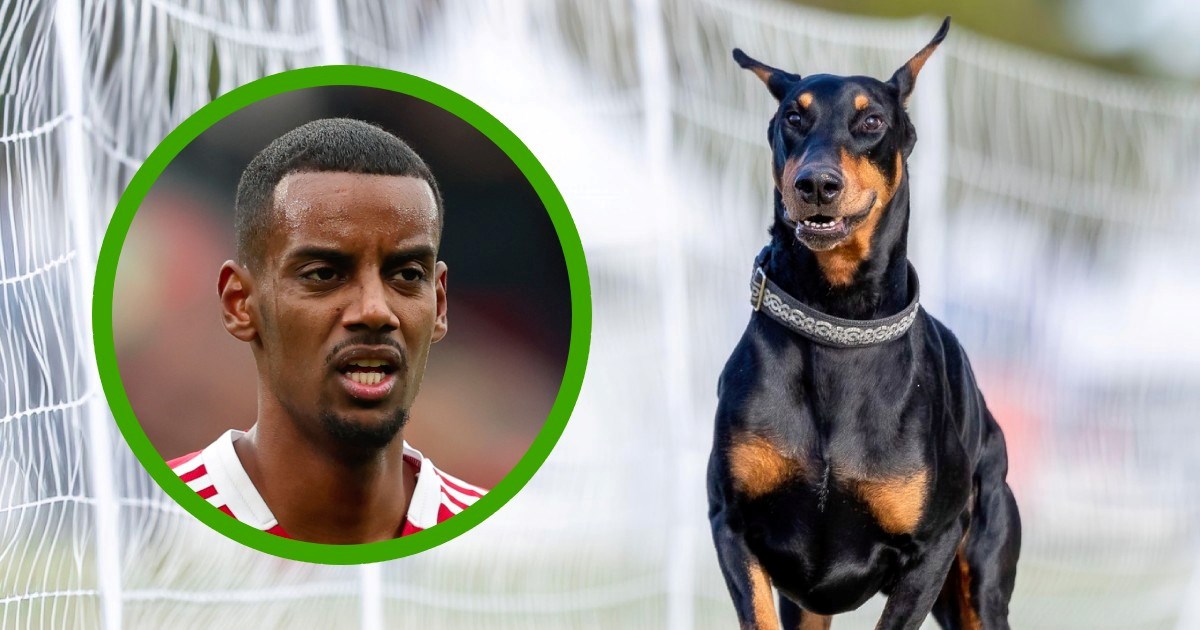 Sun: Isak primio prijetnje smrću pa za 34.000 eura kupio "nevjerojatnu zvijer"