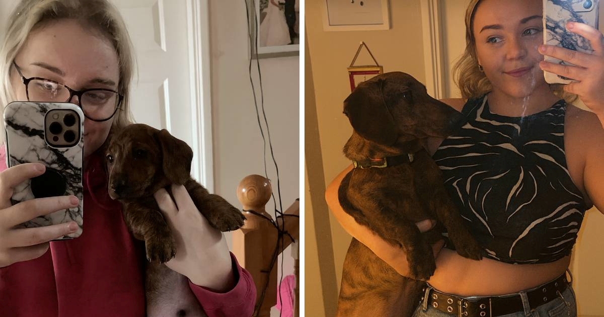 Žena kupila minijaturnog jazavčara, nije mogla vjerovati u što je izrastao