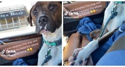 VIDEO Udomljeni pas cijelim putem kući držao svoju novu vlasnicu za ruku